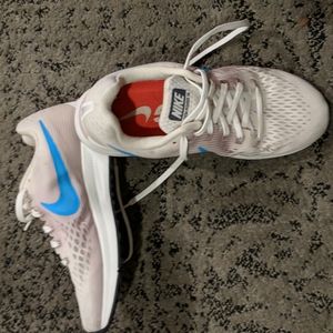 Nike Zoom Pegasus 34